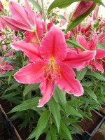 [4363 Night Fever DJ No02.JPG]